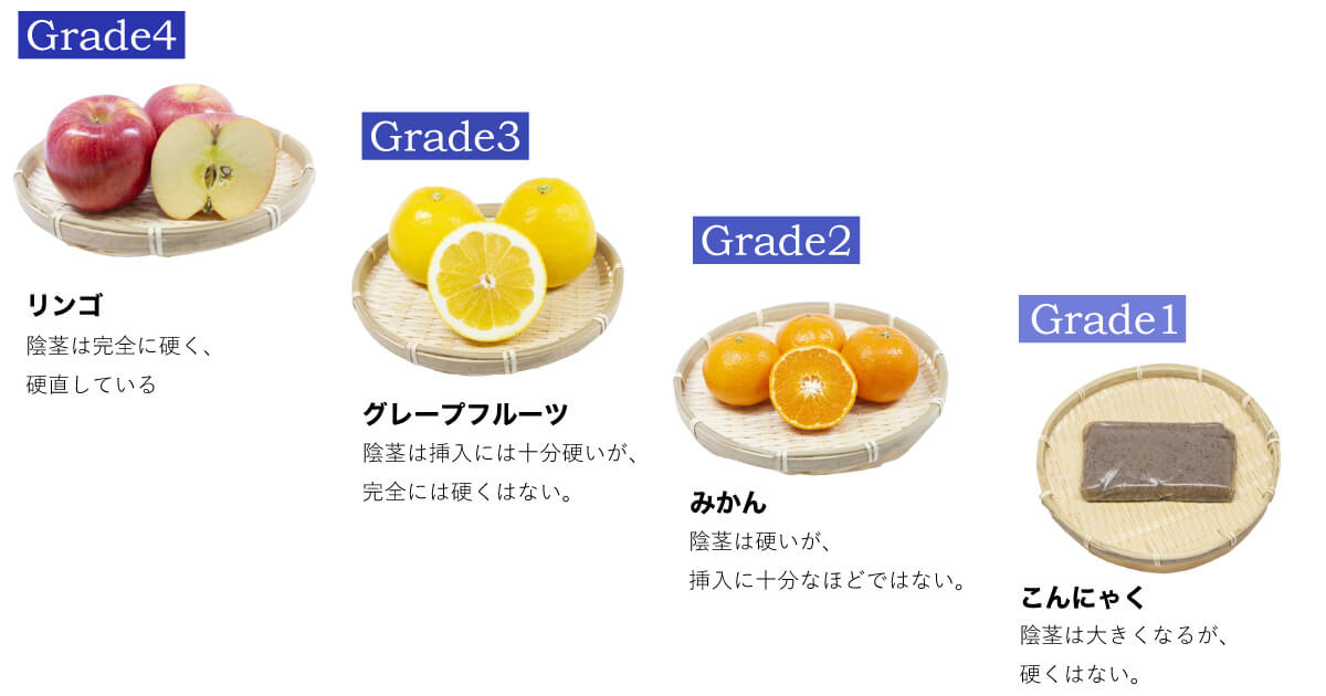 EHS「勃起の硬さスケール」