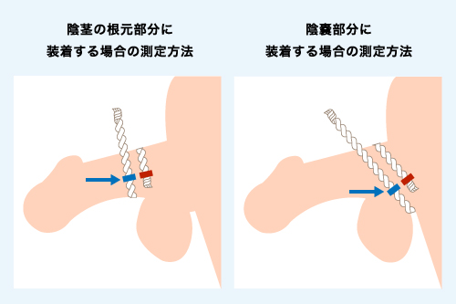 コックリング（ペニスリング）とは？正しい使い方や危険性も徹底解説【医師監修】 | 新橋ファーストクリニック【公式】