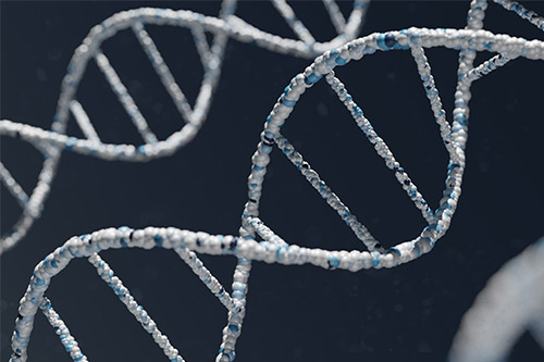 DNAのイメージ