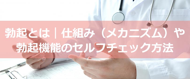 勃起とは？仕組み（メカニズム）や勃起機能のセルフチェック方法
