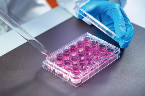 エクソソーム（幹細胞培養上清液）を抽出する様子